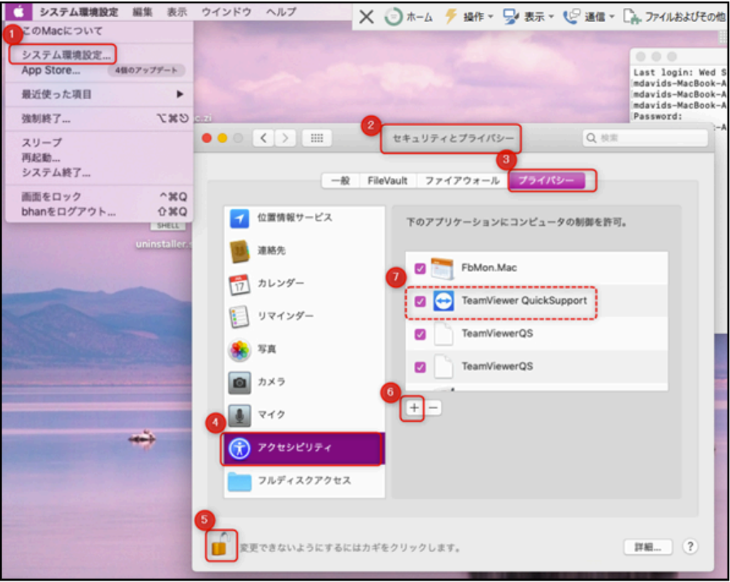 TeamViewer6.png