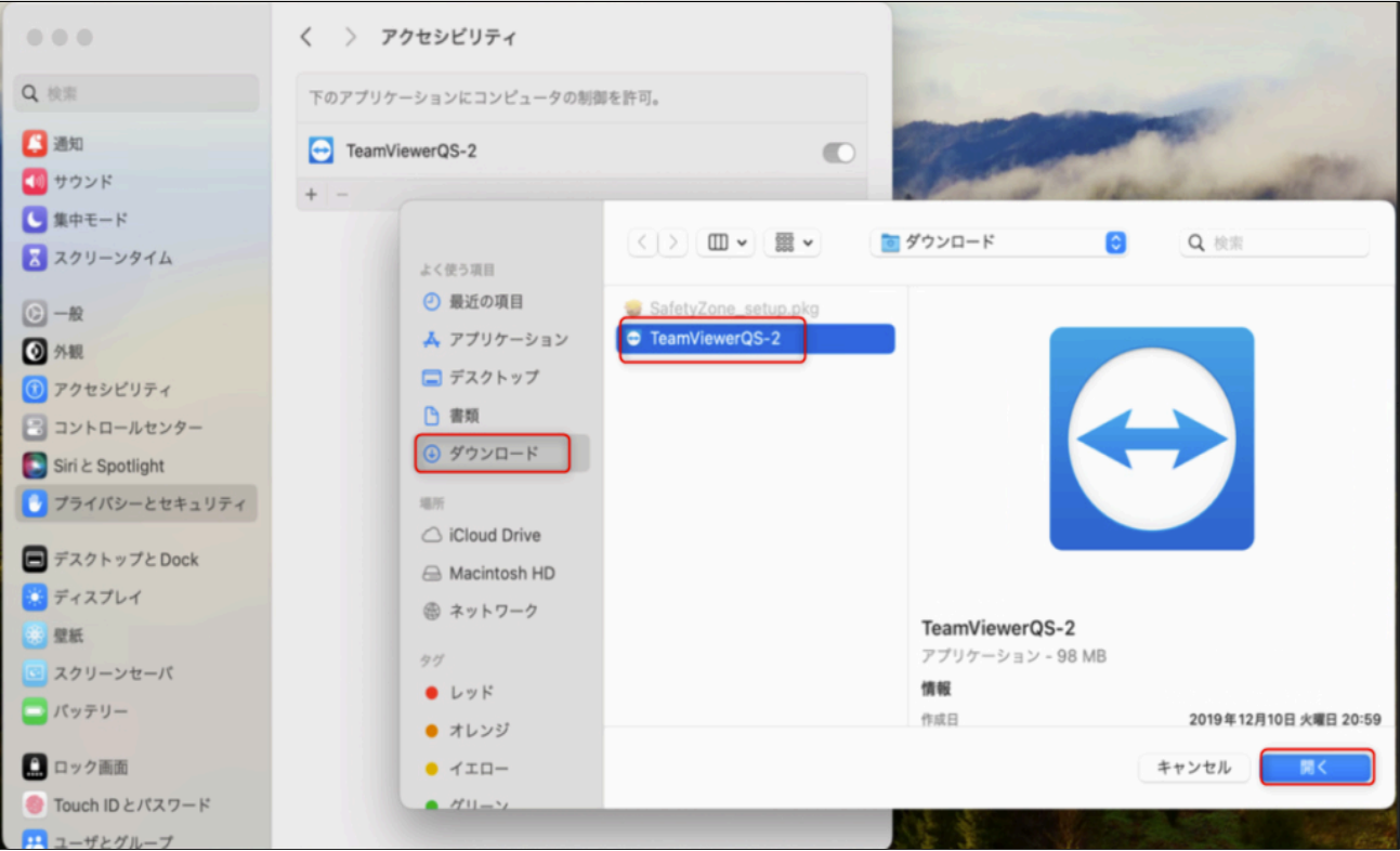 TeamViewer5.png